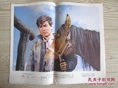 秋田看護福祉大学Diploma in Public Administration